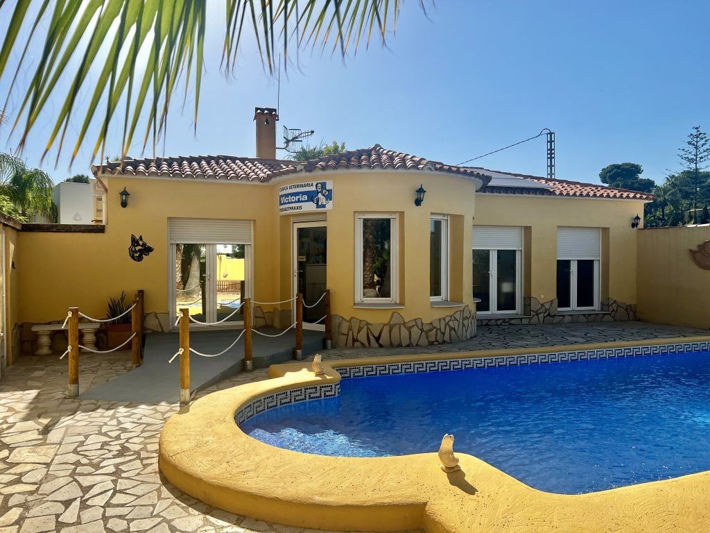 clinica-veterinaria